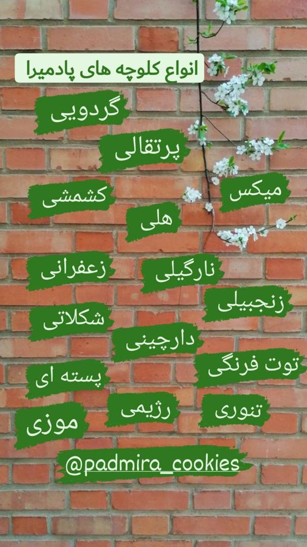 معرفی کلوچه پادمیرا